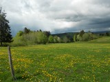 Bloemenweide met hier en daar zware wolken