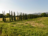 Typisch toscaans beeld