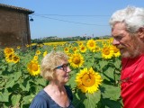 Weer met zijn tweeën tussen de zonnebloemen