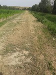 Fietspad dat opschiet.