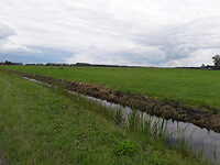 Polderlandschap. Groen, groen, groen.