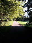Zonovergoten fietspad.