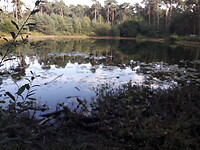Bouwkuil vlakbij Groot Speyck.