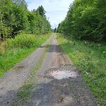 Grindpad door de bossen km's lang.