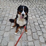 Ylia met wie ik ging wandelen.