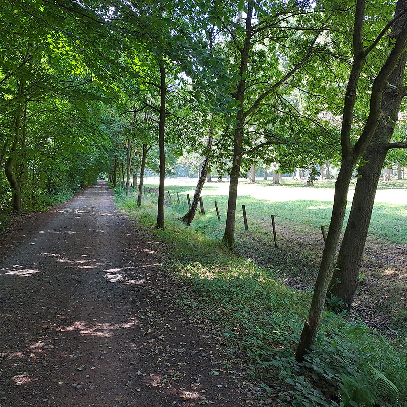 Rustige wegen en dreven.
