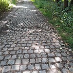 De befaamde kasseien.