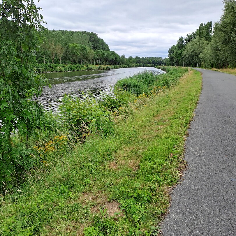 Geweldig fietspad langs de Schelde.