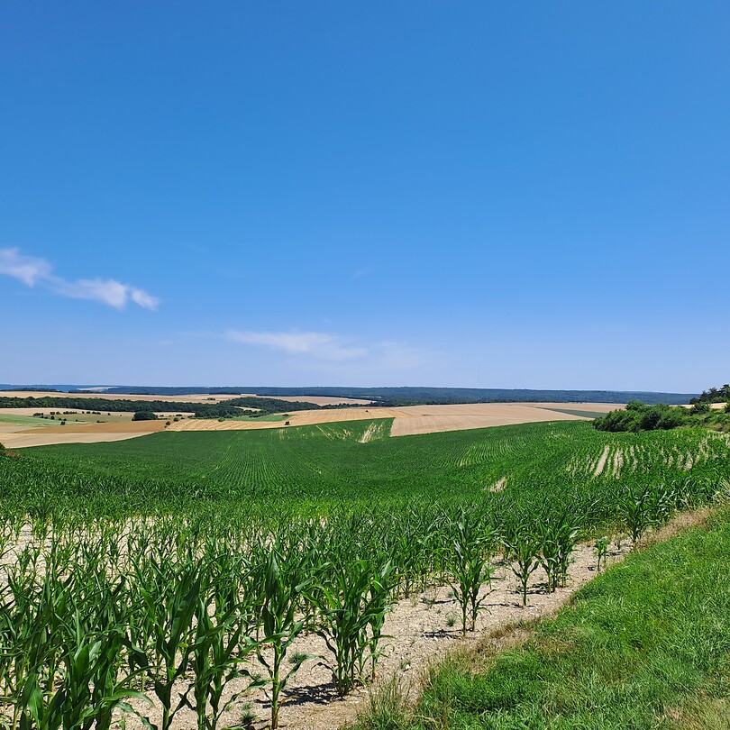 Prachtige heuvels