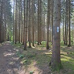 Prachtige natuur.