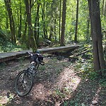 Houten oversteek.