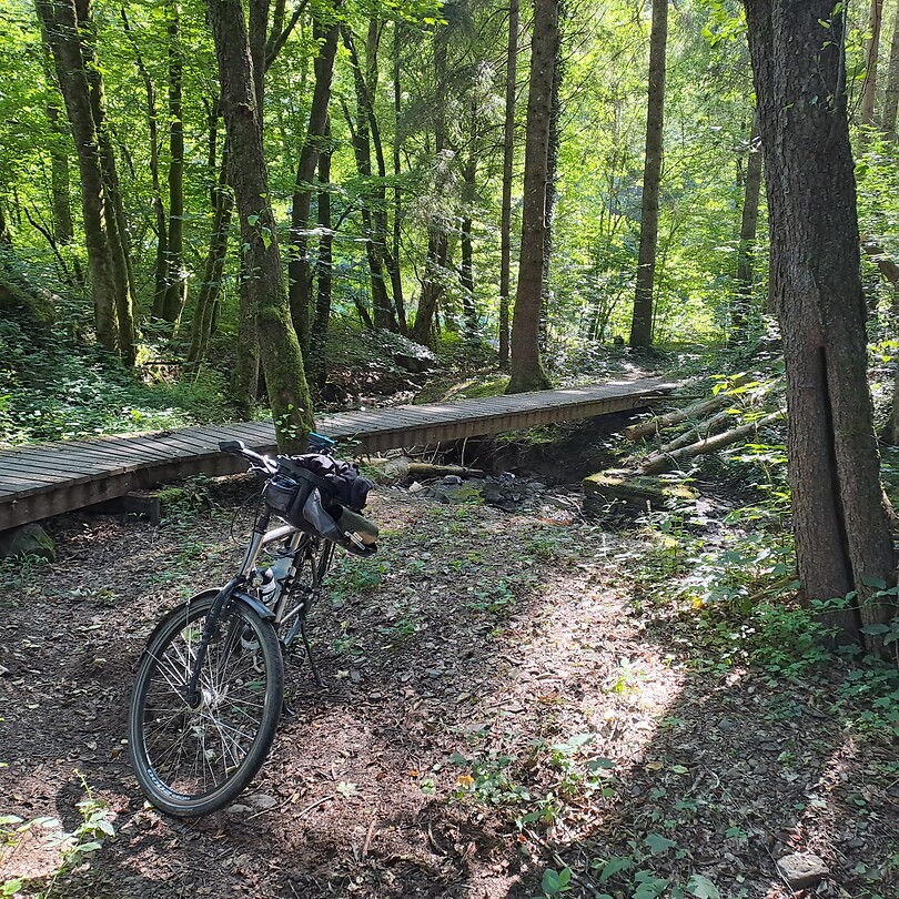 Houten oversteek.