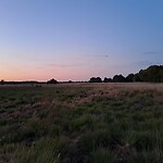 De avond begon te vallen.