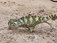 20190728_122253