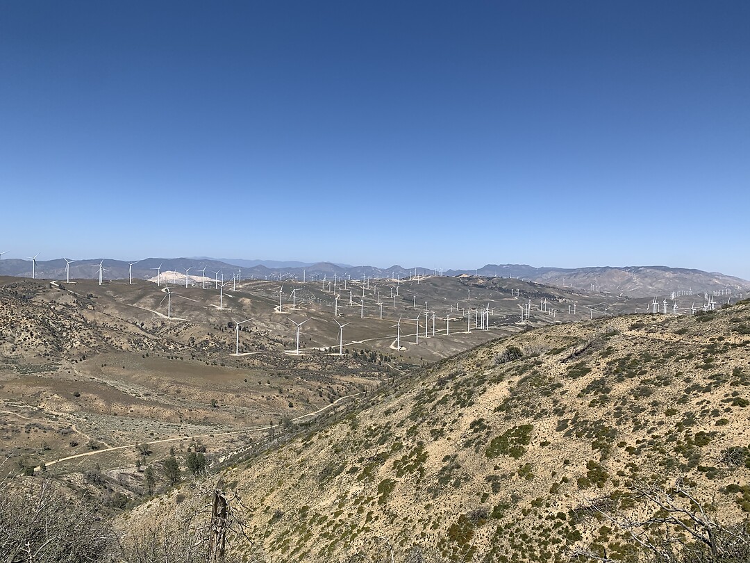 Windmolens Tehachapi