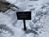 Top Forester pass