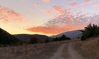 IMG_5740