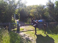 IMG_20200621_172016