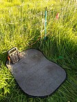 IMG_20200622_073223