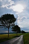 DSC_0062 (1)