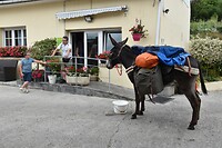 DSC_0074