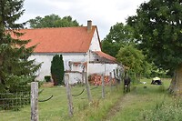 DSC_0070
