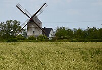 DSC_0085 (1)