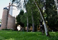DSC_0091 (1)