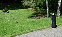 DSC_0114 (1)
