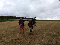 IMG_20200630_090041