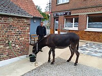IMG_20200630_095717