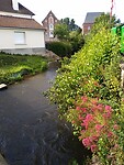 IMG_20200701_184156