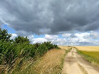 IMG_20200702_114913