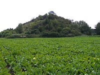 IMG_20200702_160625