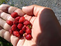 IMG_20200702_162540