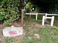 IMG_20200705_123417 (1)