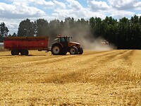 IMG_20200707_153158
