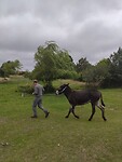 IMG-20200705-WA0002