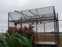 IMG_20200708_112306