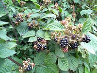 IMG_20200708_113811