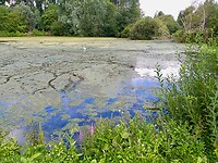 IMG_20200709_103612 (1)