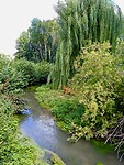 IMG_20200709_113915 (1)