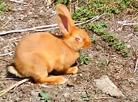 IMG_20200709_115631 (2)