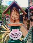 IMG_20200709_170513 (1)