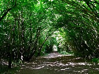 IMG_20200709_121926 (1)