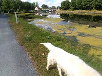 IMG_20200711_103417