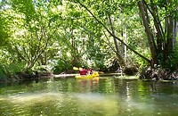 IMG_20200711_151833 (1)