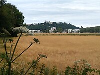 IMG_20200714_104311