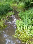 IMG_20200714_110334