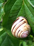 IMG_20200714_111050
